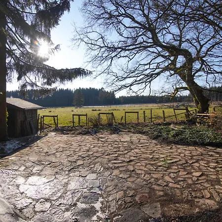 Ferdinand's * Malmedy