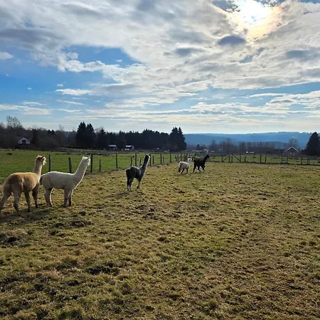 Ferdinand's Σπίτι διακοπών Malmedy